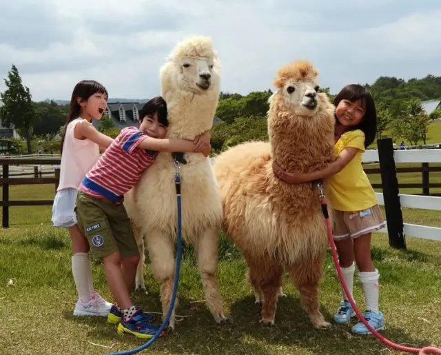 🏞️ 목가적인 마을(보카노사토) 이미지 8